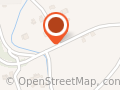 TREE LIFE STUDIO
