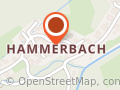 dogsphysio - Die Praxis für Hundephysiotherapie in Aschau