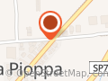 riccidellapioppa