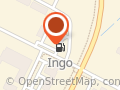 Ingo