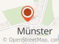 Zum Wirt z'Münster