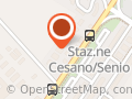 Shelby Pub Cesano