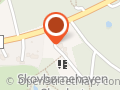 Skovlyset