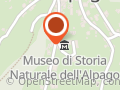 Museo Di Storia Naturale Associazione Alpago Storia Natura