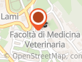 Ospedale Veterinario Universitario Didattico OVUD UNIPG