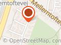 Bartho, Gitte