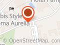 Alfredo Stecchi Academy