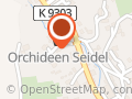 Orchideen Seidel