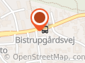 Bøjlestangen