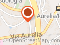 Storia in Rete