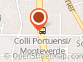 Morelli