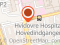 Københavns Kommunes Integrerede Institution