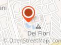 Ristorante Pizzeria Dei Fiori
