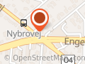 Elskov's