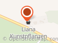 Liana Kunstpflanzen