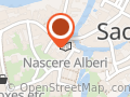 Nascere Alberi