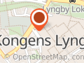 Buch Copenhagen
