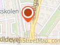 Guldsmed Karina Hansen