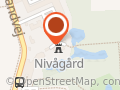Color & You