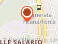 New Company SRL