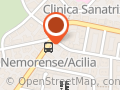 Montanaro Anna