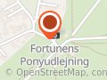 Fortunen's Pony Udlejning OG Rideskole