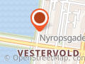 Billedkunstner Vibeke Tøjner