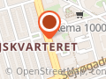 Orientalske Tæpper