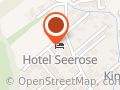 Hotel Seerose
