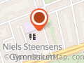 Danmarks Unge Katoliker