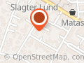 Ridefysioterapeut Annette F. Toft