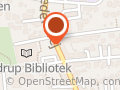 Dukkebutikken