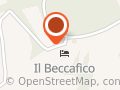 Agriturismo il Beccafico alpaca