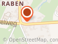 Die Rabenbrüder