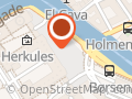 Radikale Venstre, Det