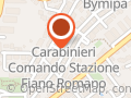 Service Capricorno