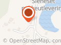 Leik Steve Johansen