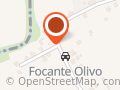 Focante Olivo