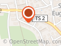 Die Pampelmusen