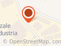 INTERMUSIC SOCIETA' COOPERATIVA