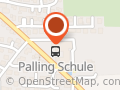 TSV 1920 Palling