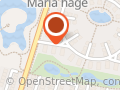 Anders Maazon Management Services AB