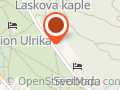Ing. Miloš Veselý - Hotel Silva (pobočka Mariánské Lázně)