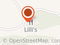 Lilli's Wirtshaus & Biergarten - Schützenhaus Furth