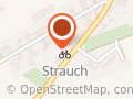 Modellbau Strauch