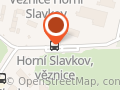 Věznice Horní Slavkov