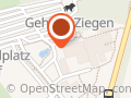 Heidelbeeren