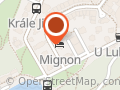 HOTEL MIGNON