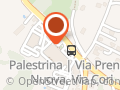 PET STORE CONAD