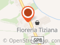 Fioreria Tiziana S.a.s. Di Bianchini Tiziana e Claudia